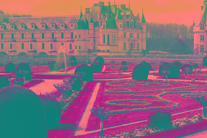 Heldagstur til Loiredalens slotte fra Paris, inklusive Chambord og Chenonceau, foto 14 | wizardtrip