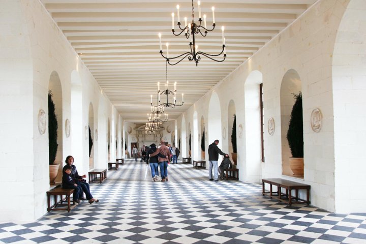 Heldagstur til Loiredalens slotte fra Paris, inklusive Chambord og Chenonceau, foto 16 | wizardtrip