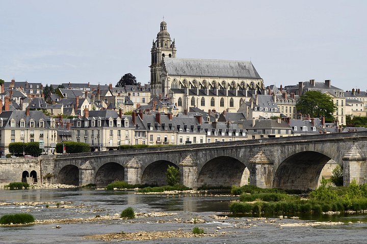 Heldagstur til Loiredalens slotte fra Paris, inklusive Chambord og Chenonceau, foto 21 | wizardtrip