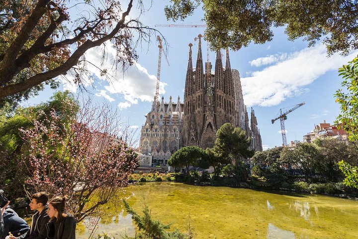 Guided tour of Sagrada Familia, Barcelona, showcasing Gaudi's architecture, photo 12 | wizardtrip