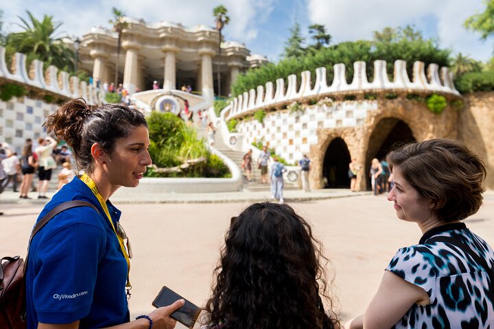 Passeio guiado pelo colorido Parque Güell de Antoni Gaudí em Barcelona, Espanha, foto 7 | wizardtrip