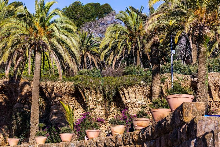 Passeio guiado pelo colorido Parque Güell de Antoni Gaudí em Barcelona, Espanha, foto 11 | wizardtrip