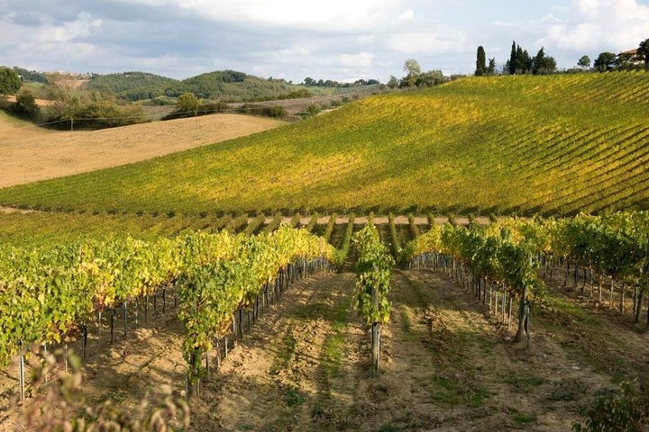 Excursion d'une journée de Florence à Sienne et San Gimignano, avec architecture médiévale et paysages toscans, photo 10 | wizardtrip