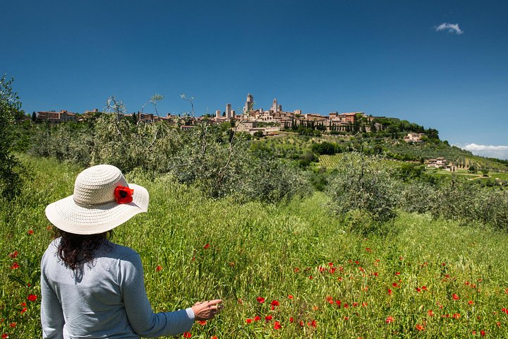 Excursion d'une journée de Florence à Sienne et San Gimignano, avec architecture médiévale et paysages toscans, photo 18 | wizardtrip