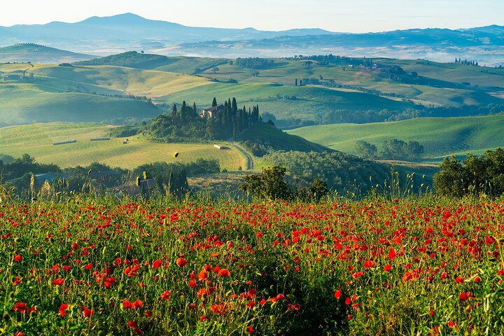 Rome: Tuscany & Montepulciano Day Trip with Lunch & Wine Tasting | wizardtrip