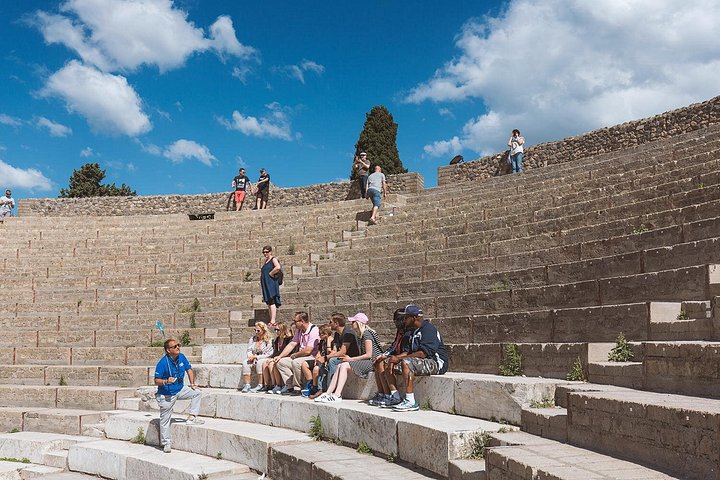 ローマ発、ポンペイとヴェスヴィオ山への日帰り旅行、写真18 | wizardtrip