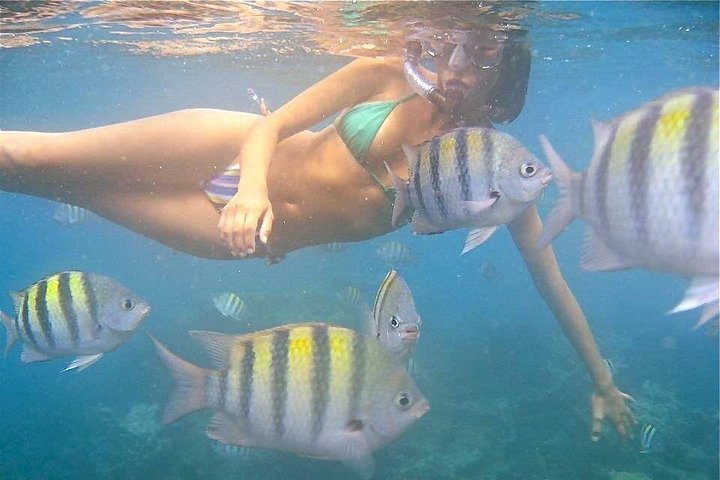 Croisière plongée avec tuba à Aruba avec bar ouvert et déjeuner sur un bateau pirate, photo 10 | wizardtrip
