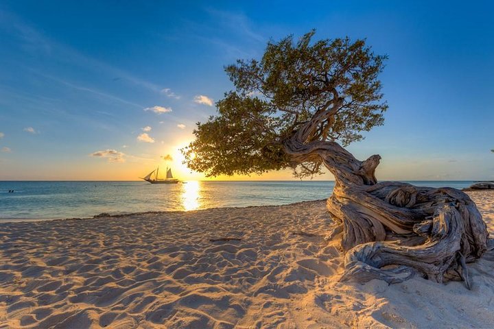 Piratskeppskryssning i solnedgången med öppen bar och repgunga på Aruba, foto 11 | wizardtrip