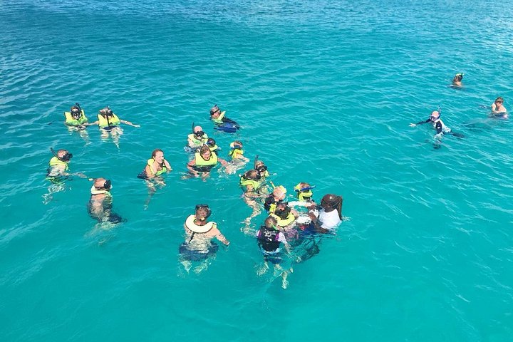 Avventura snorkeling a Barbados: nuota con le tartarughe ed esplora i relitti in acque turchesi limpide, foto 2 | wizardtrip
