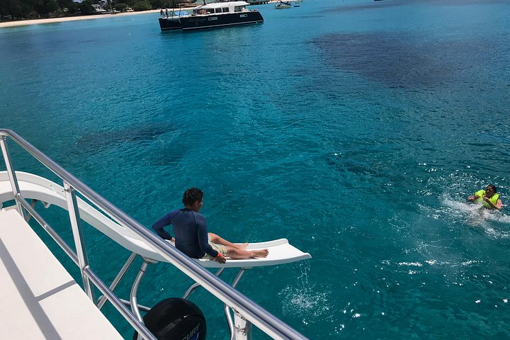 Avventura snorkeling a Barbados: nuota con le tartarughe ed esplora i relitti in acque turchesi limpide, foto 4 | wizardtrip