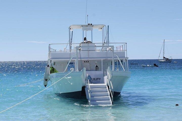 Avventura snorkeling a Barbados: nuota con le tartarughe ed esplora i relitti in acque turchesi limpide, foto 5 | wizardtrip