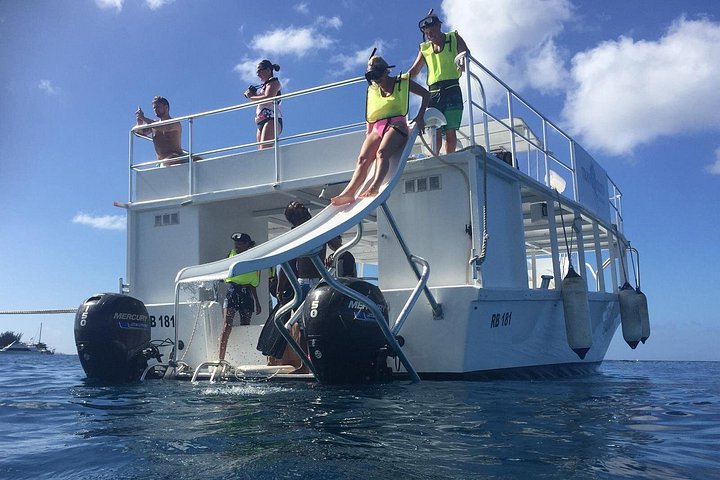 Avventura snorkeling a Barbados: nuota con le tartarughe ed esplora i relitti in acque turchesi limpide, foto 8 | wizardtrip