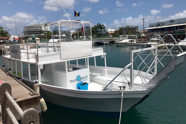 Avventura snorkeling a Barbados: nuota con le tartarughe ed esplora i relitti in acque turchesi limpide, foto 14 | wizardtrip