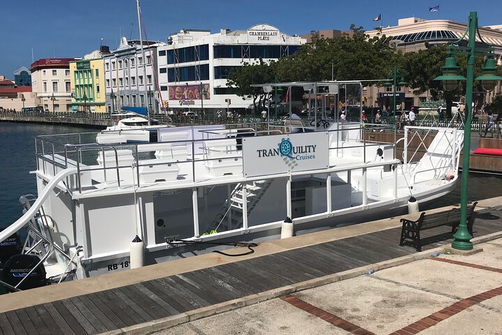 Avventura snorkeling a Barbados: nuota con le tartarughe ed esplora i relitti in acque turchesi limpide, foto 16 | wizardtrip