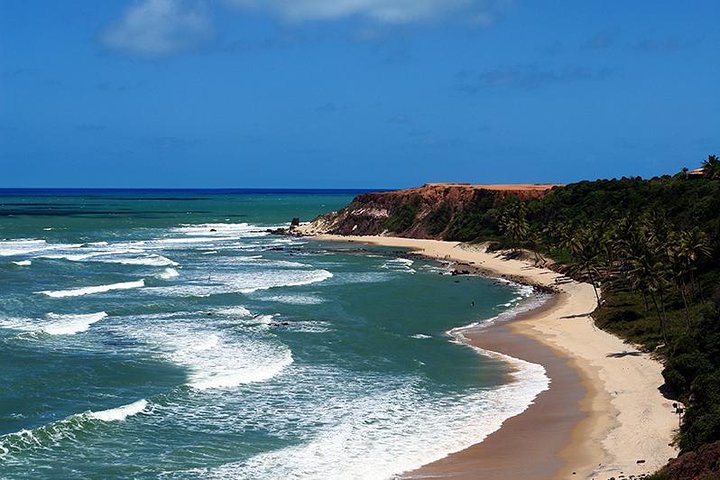 Heldagstur til Pipa Strand fra Natal, Brasilien, med klipper, strande og landsbyudforskning, foto 11 | wizardtrip