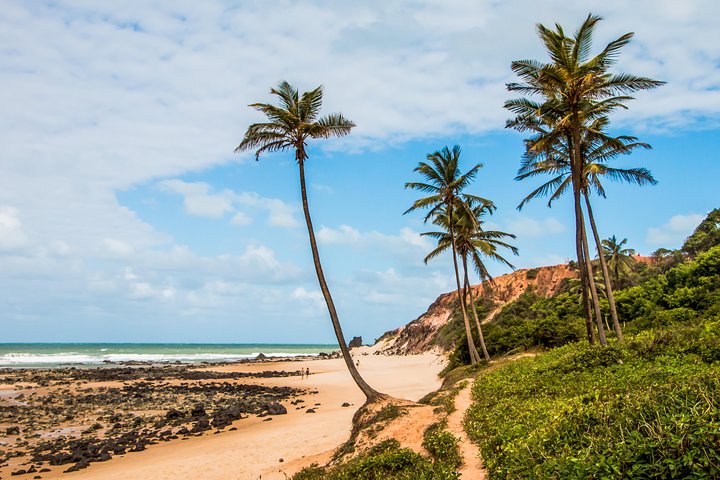 Heldagstur til Pipa Strand fra Natal, Brasilien, med klipper, strande og landsbyudforskning, foto 12 | wizardtrip