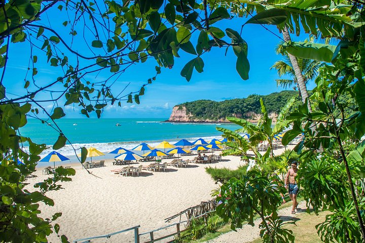 Heldagstur til Pipa Strand fra Natal, Brasilien, med klipper, strande og landsbyudforskning, foto 14 | wizardtrip