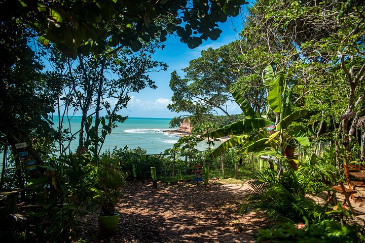 Heldagstur til Pipa Strand fra Natal, Brasilien, med klipper, strande og landsbyudforskning, foto 15 | wizardtrip