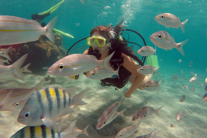 Heldags båttur till Maracajaú-stranden och Parrachos-revet i Natal, Brasilien, för snorkling och dykning, foto 7 | wizardtrip
