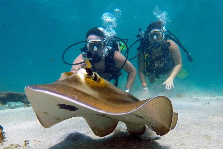 Heldags båttur till Maracajaú-stranden och Parrachos-revet i Natal, Brasilien, för snorkling och dykning, foto 8 | wizardtrip