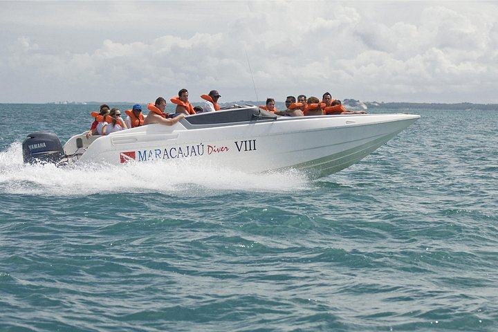 Heldags båttur till Maracajaú-stranden och Parrachos-revet i Natal, Brasilien, för snorkling och dykning, foto 11 | wizardtrip