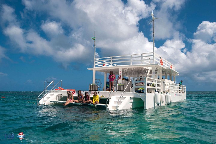 Heldags båttur till Maracajaú-stranden och Parrachos-revet i Natal, Brasilien, för snorkling och dykning, foto 12 | wizardtrip