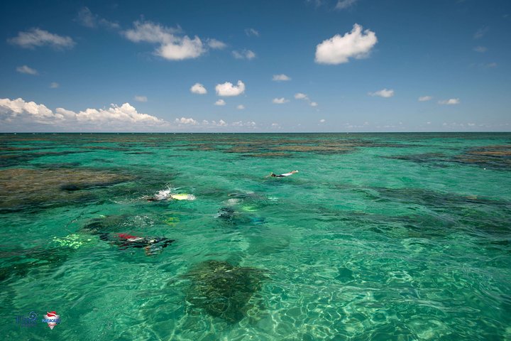 Heldags båttur till Maracajaú-stranden och Parrachos-revet i Natal, Brasilien, för snorkling och dykning, foto 13 | wizardtrip
