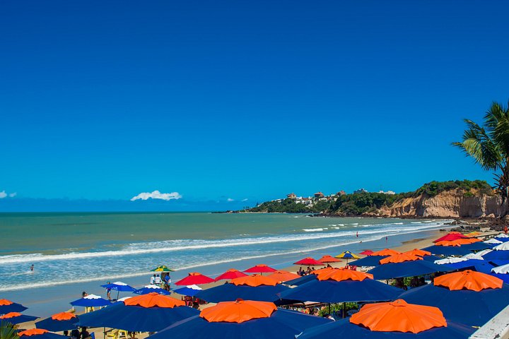 Visite historique d'une journée à Natal, Brésil, explorant les monuments et la culture, photo 8 | wizardtrip