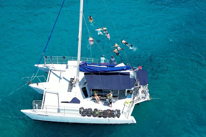 Beste Waikiki Snorkel Tour: Gegarandeerde Schildpadden bij Turtle Canyon | wizardtrip
