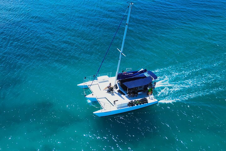 Passeio de snorkel em Waikiki, Honolulu, com tartarugas marinhas garantidas e vistas costeiras deslumbrantes, foto 13 | wizardtrip