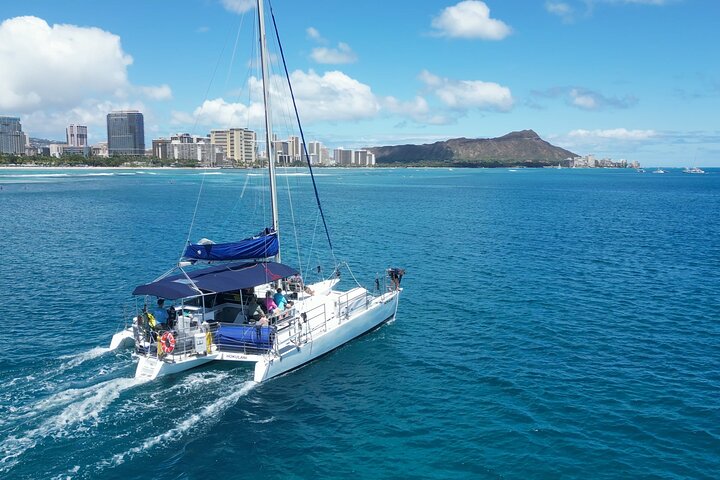 Passeio de snorkel em Waikiki, Honolulu, com tartarugas marinhas garantidas e vistas costeiras deslumbrantes, foto 15 | wizardtrip
