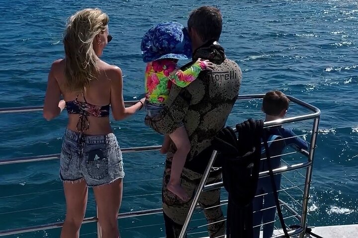 Passeio de snorkel em Waikiki, Honolulu, com tartarugas marinhas garantidas e vistas costeiras deslumbrantes, foto 22 | wizardtrip