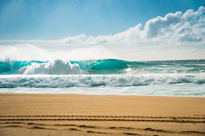 Tour pela ilha de Oahu com snorkel, miradouros panorâmicos, locais de surf e comida local, foto 10 | wizardtrip