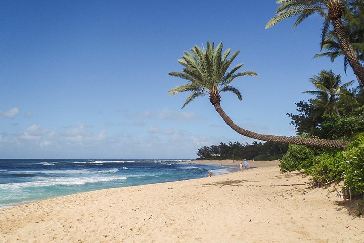 Tour pela ilha de Oahu com snorkel, miradouros panorâmicos, locais de surf e comida local, foto 12 | wizardtrip
