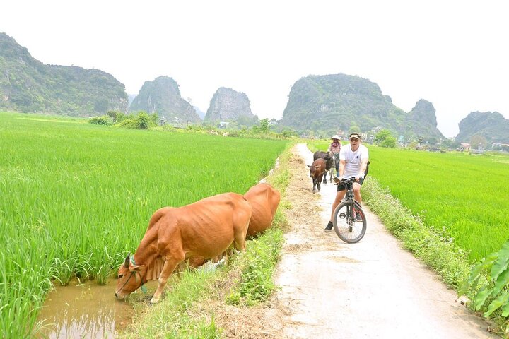 Full-day guided tour of Ninh Binh from Hanoi, featuring Mua Cave, Tam Coc boat trip, and Hoa Lu, photo 19 | wizardtrip