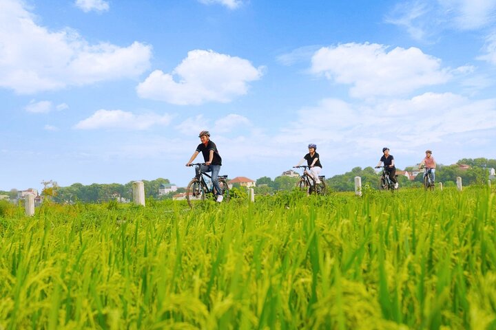 Full-day guided tour of Ninh Binh from Hanoi, featuring Mua Cave, Tam Coc boat trip, and Hoa Lu, photo 21 | wizardtrip
