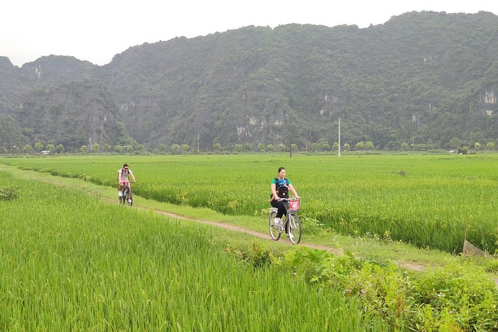 Full-day guided tour of Ninh Binh from Hanoi, featuring Mua Cave, Tam Coc boat trip, and Hoa Lu, photo 22 | wizardtrip