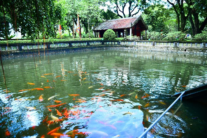 Full-day guided tour of Ninh Binh from Hanoi, featuring Mua Cave, Tam Coc boat trip, and Hoa Lu, photo 25 | wizardtrip