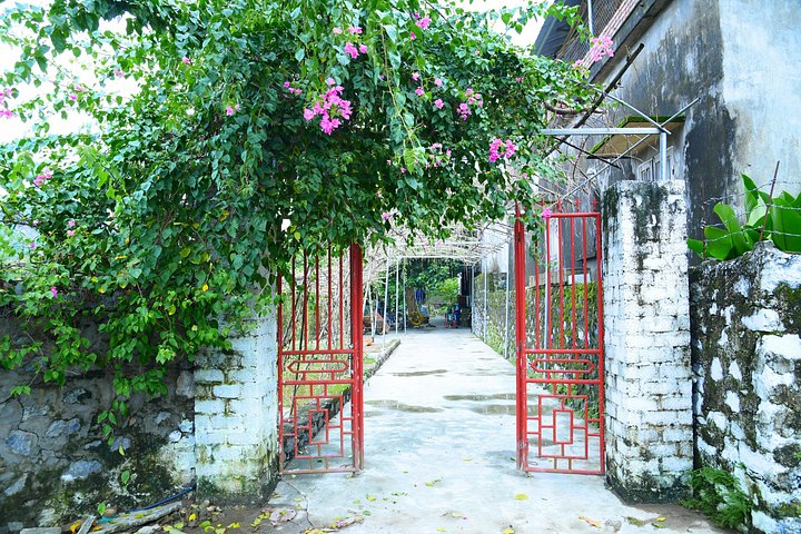 Full-day guided tour of Ninh Binh from Hanoi, featuring Mua Cave, Tam Coc boat trip, and Hoa Lu, photo 27 | wizardtrip