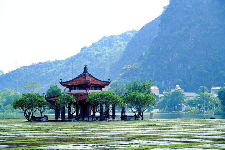 Full-day guided tour of Ninh Binh from Hanoi, featuring Mua Cave, Tam Coc boat trip, and Hoa Lu, photo 28 | wizardtrip