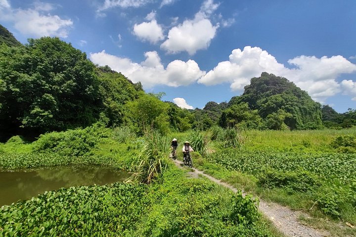 Full-day guided tour of Ninh Binh from Hanoi, featuring Mua Cave, Tam Coc boat trip, and Hoa Lu, photo 30 | wizardtrip