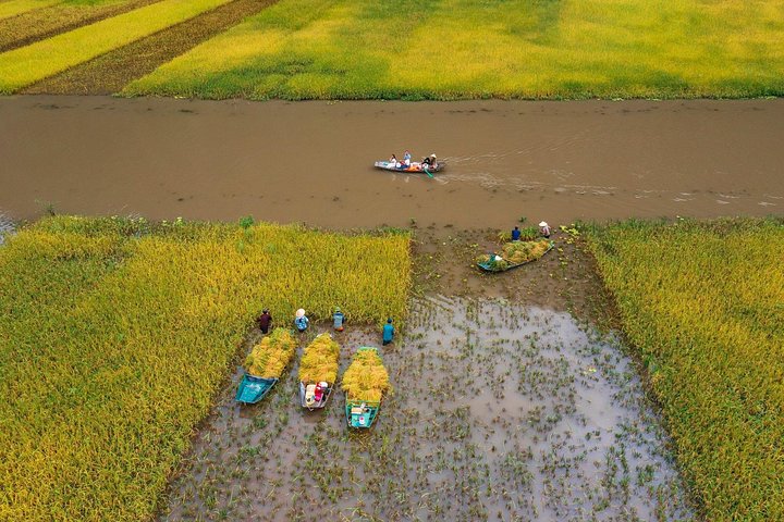 Full-day guided tour of Ninh Binh from Hanoi, featuring Mua Cave, Tam Coc boat trip, and Hoa Lu, photo 32 | wizardtrip