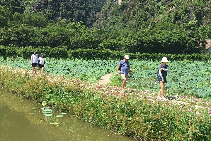 Full-day guided tour of Ninh Binh from Hanoi, featuring Mua Cave, Tam Coc boat trip, and Hoa Lu, photo 39 | wizardtrip