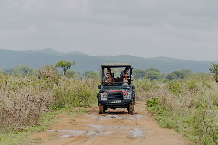 Safari mit Flug zum Mikumi-Nationalpark ab Sansibar mit Tierwelt und Landschaften, Foto 7 | wizardtrip