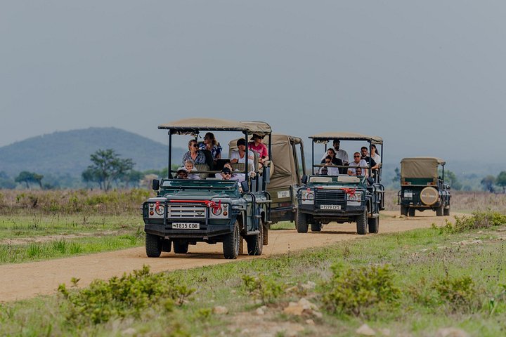 Safari mit Flug zum Mikumi-Nationalpark ab Sansibar mit Tierwelt und Landschaften, Foto 11 | wizardtrip