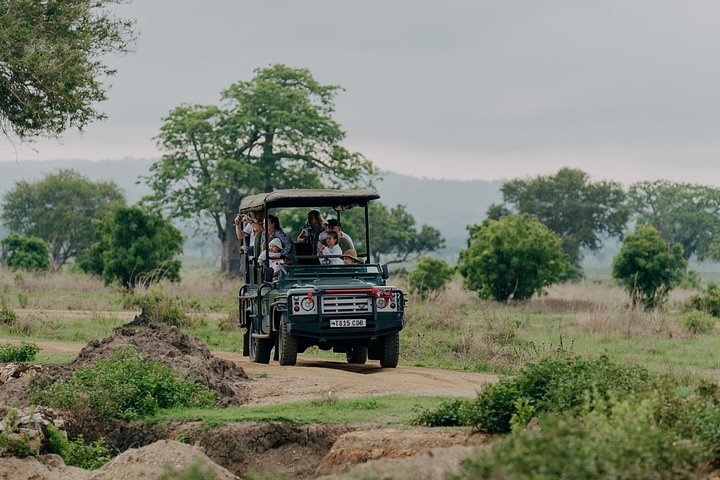 Safari mit Flug zum Mikumi-Nationalpark ab Sansibar mit Tierwelt und Landschaften, Foto 12 | wizardtrip