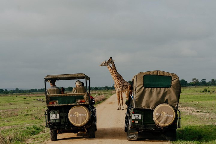 Safari mit Flug zum Mikumi-Nationalpark ab Sansibar mit Tierwelt und Landschaften, Foto 13 | wizardtrip