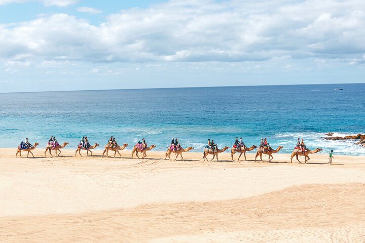 Giro in Spiaggia sui Dromedari e Incontro a Cabo | wizardtrip