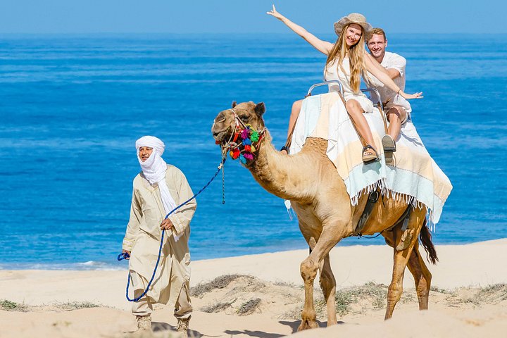 Profitez d'une balade à dos de chameau sur la plage à Cabo San Lucas, Mexique, avec de superbes vues sur l'océan, photo 8 | wizardtrip