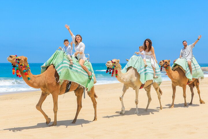 Profitez d'une balade à dos de chameau sur la plage à Cabo San Lucas, Mexique, avec de superbes vues sur l'océan, photo 10 | wizardtrip